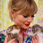 Conheça os gatos da Taylor Swift e veja como ela os transporta