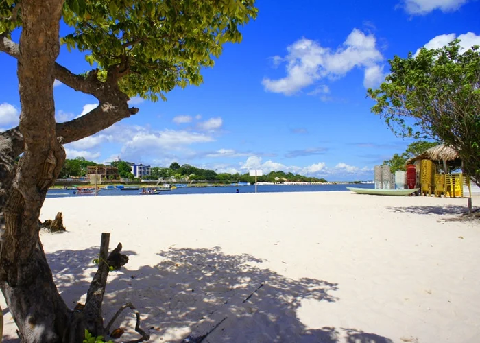 Conheça Alter do Chão, o Caribe da Amazônia