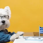 10 cachorros mais fofos, segundo matemática grega
