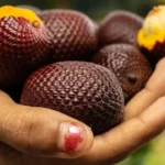Frutas que só tem no Brasil: lista traz 100 delícias para provar