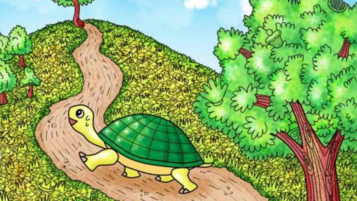 Ilusão de ótica com tartaruga.