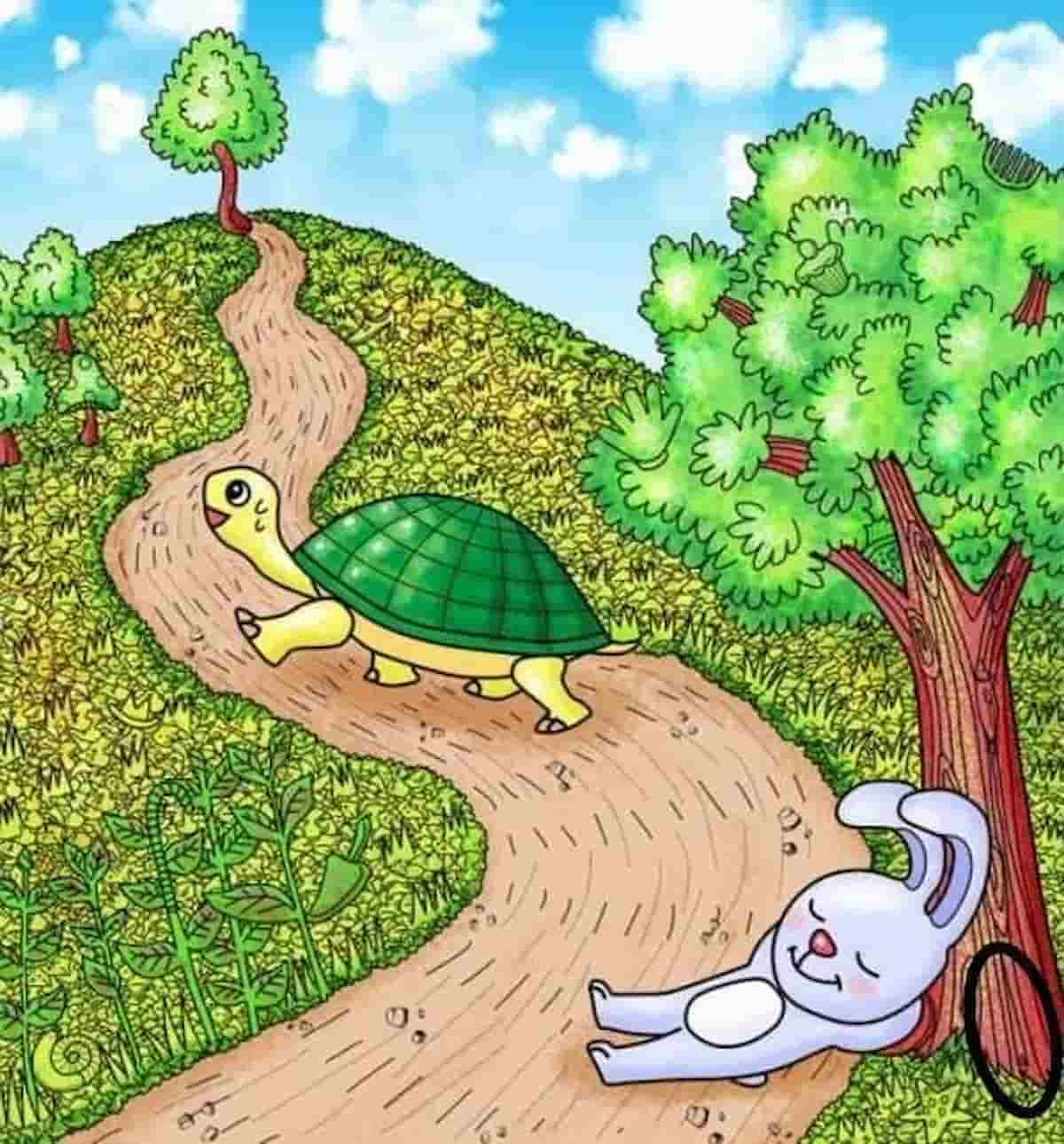 Resposta ilusão de ótica com tartaruga.