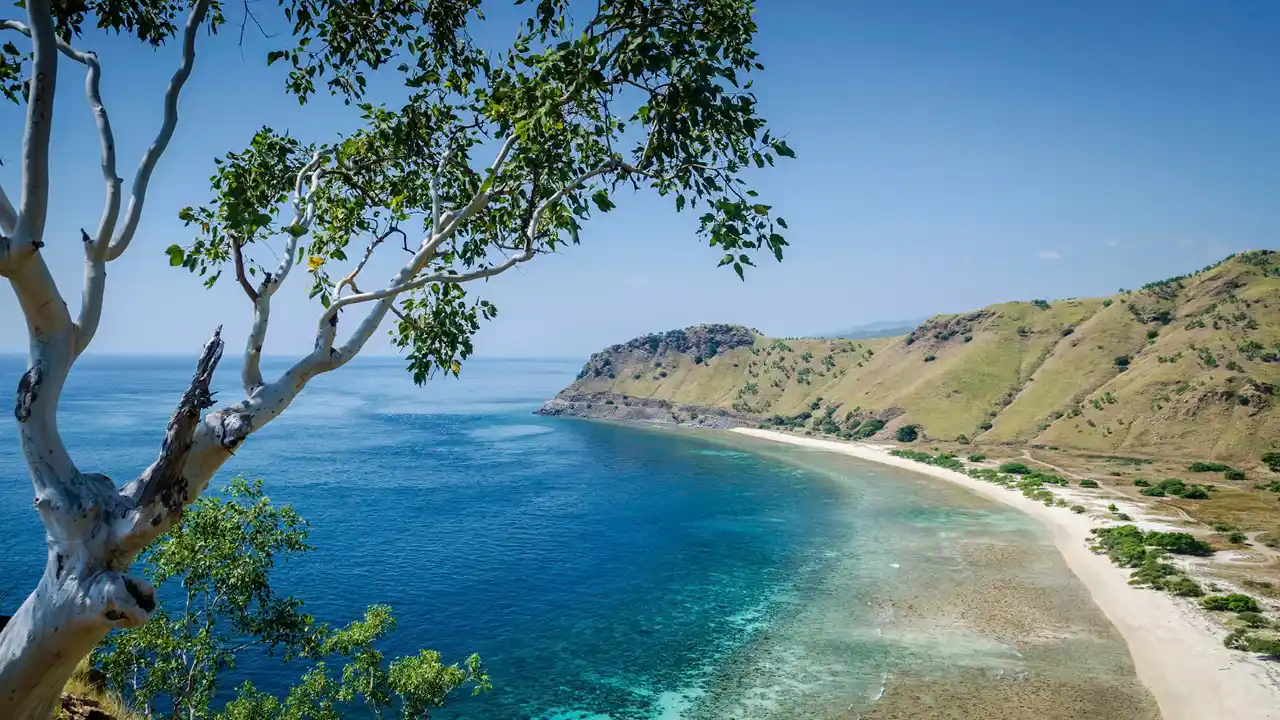 Timor-Leste país com o português como uma das línguas oficiais.