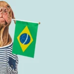 4 raças de cães brasileiras lindas e que você ainda não conhecia