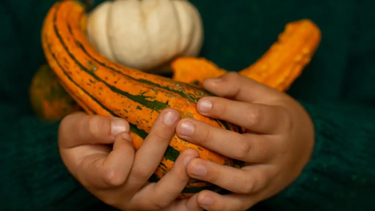 Abóbora: conheça a fruta que os indígenas descobriram e que tem nome grego