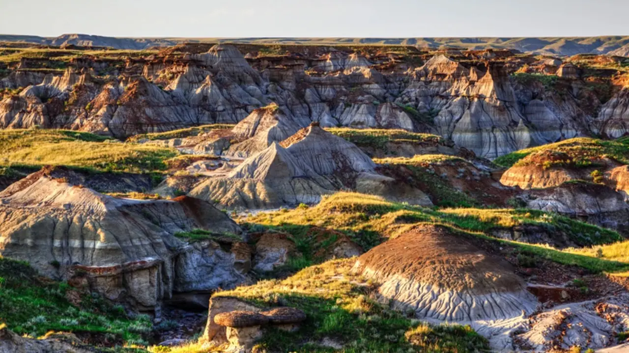 Parque Provincial dos Dinossauros: maior cemitério de dinossauros do mundo