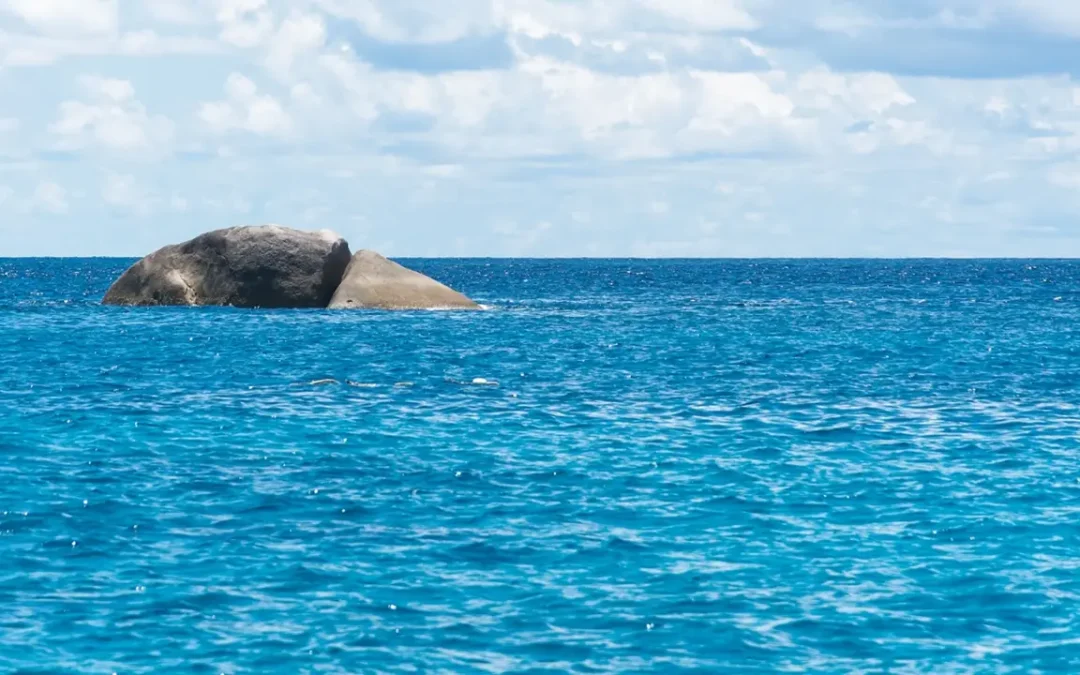 Novo oceano em formação pode mudar tudo o que você aprendeu