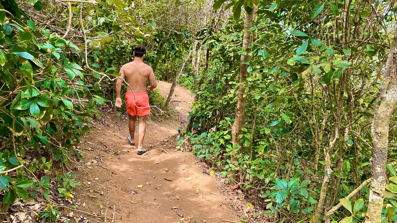 Trilha para chegar na Ponta do Pai Vitorio