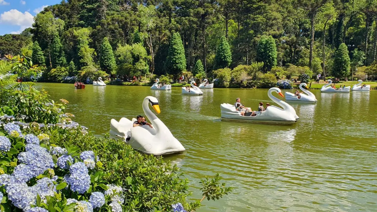 Campos do Jordão ou Gramado, qual é a melhor? Grego que mora no Brasil revela