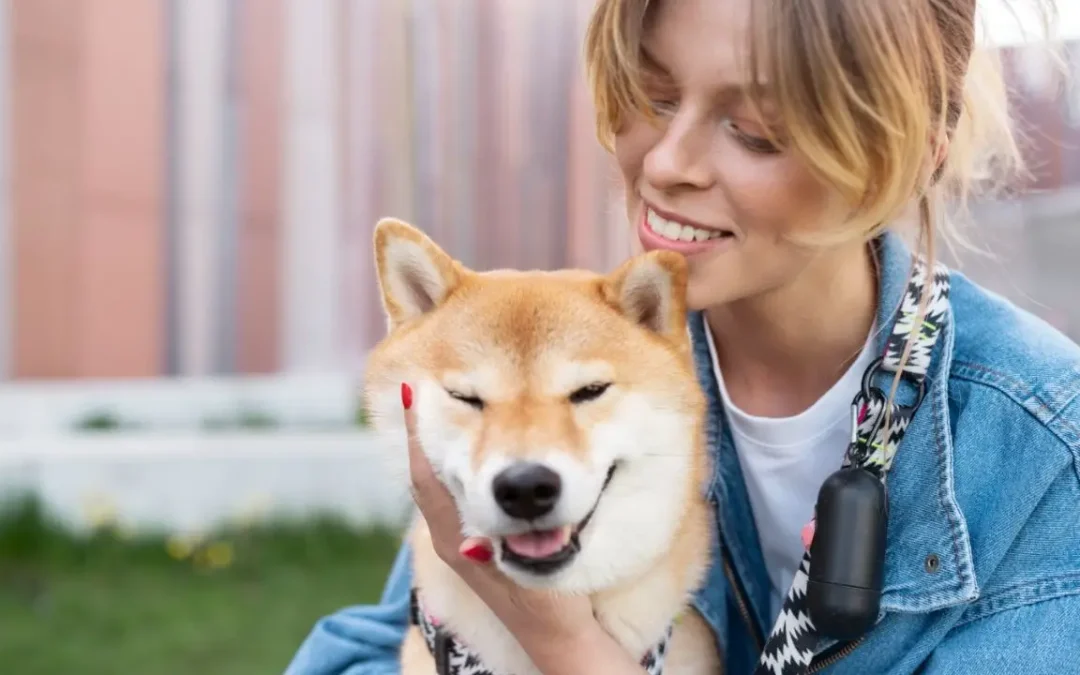 6 raças japonesas de cachorros muito lindas que te farão querer ter um