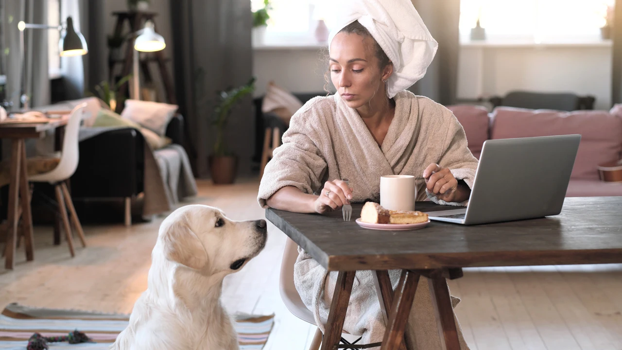 Como ensinar o seu cachorro a conversar com você?