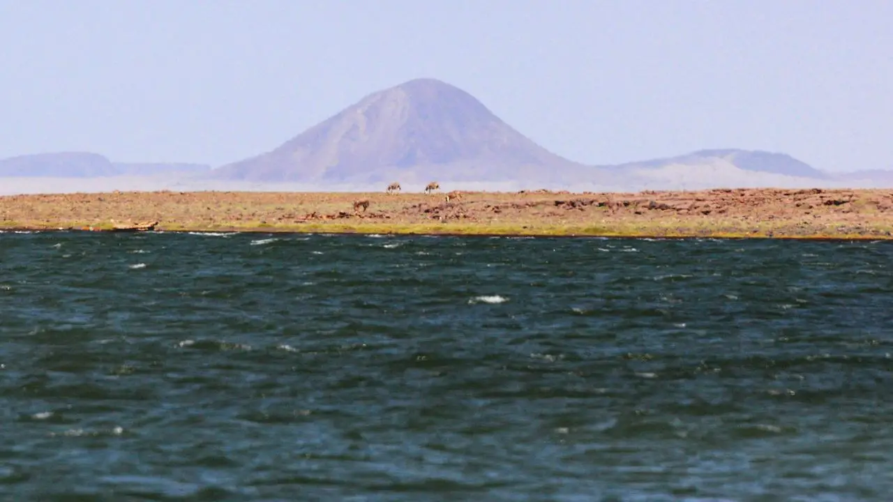 Os Parques Nacionais do Lago Turkana, no Quênia