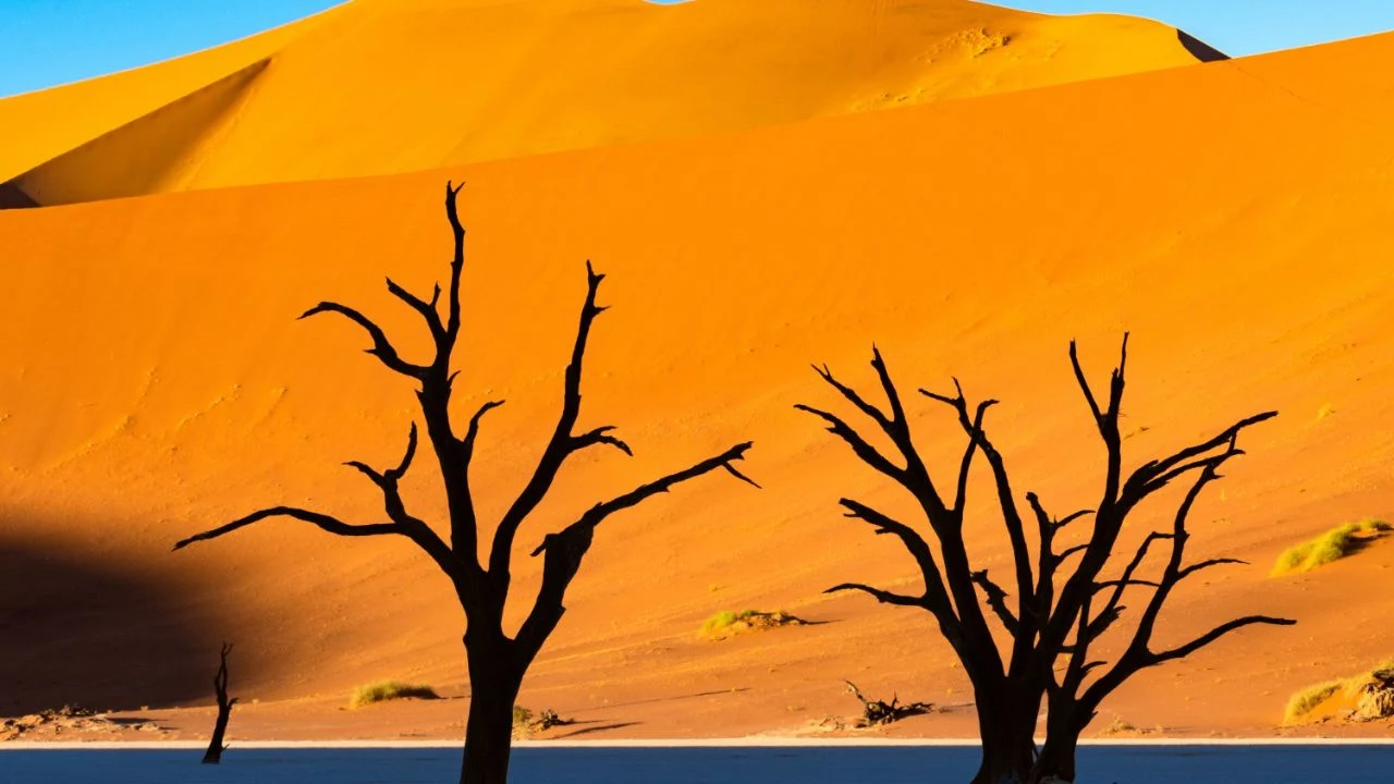 Um dos Patrimônios da Humanidade é o Mar de Areia do Namibe, Namíbia.