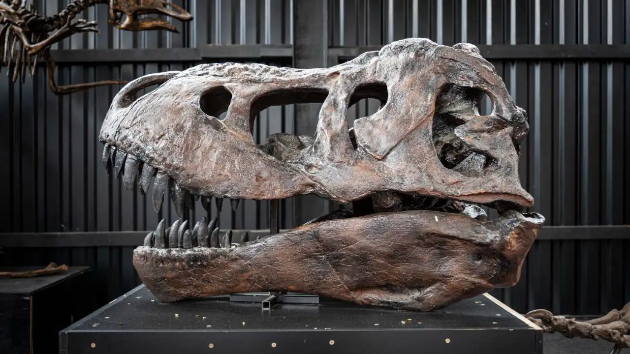 Sites de Hominídeos Fósseis.