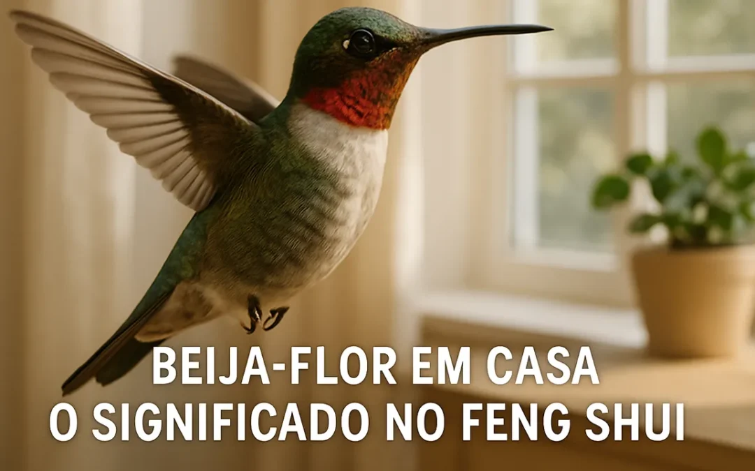 Viu um beija-flor? Veja o que isso significa no Feng Shui!